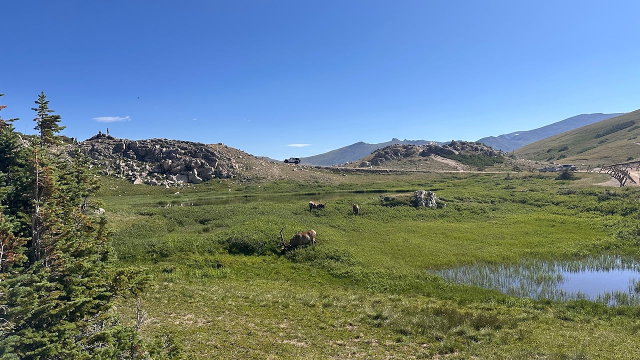 Driving Into the Wild: A Sensory Journey Along Old Fall River Road