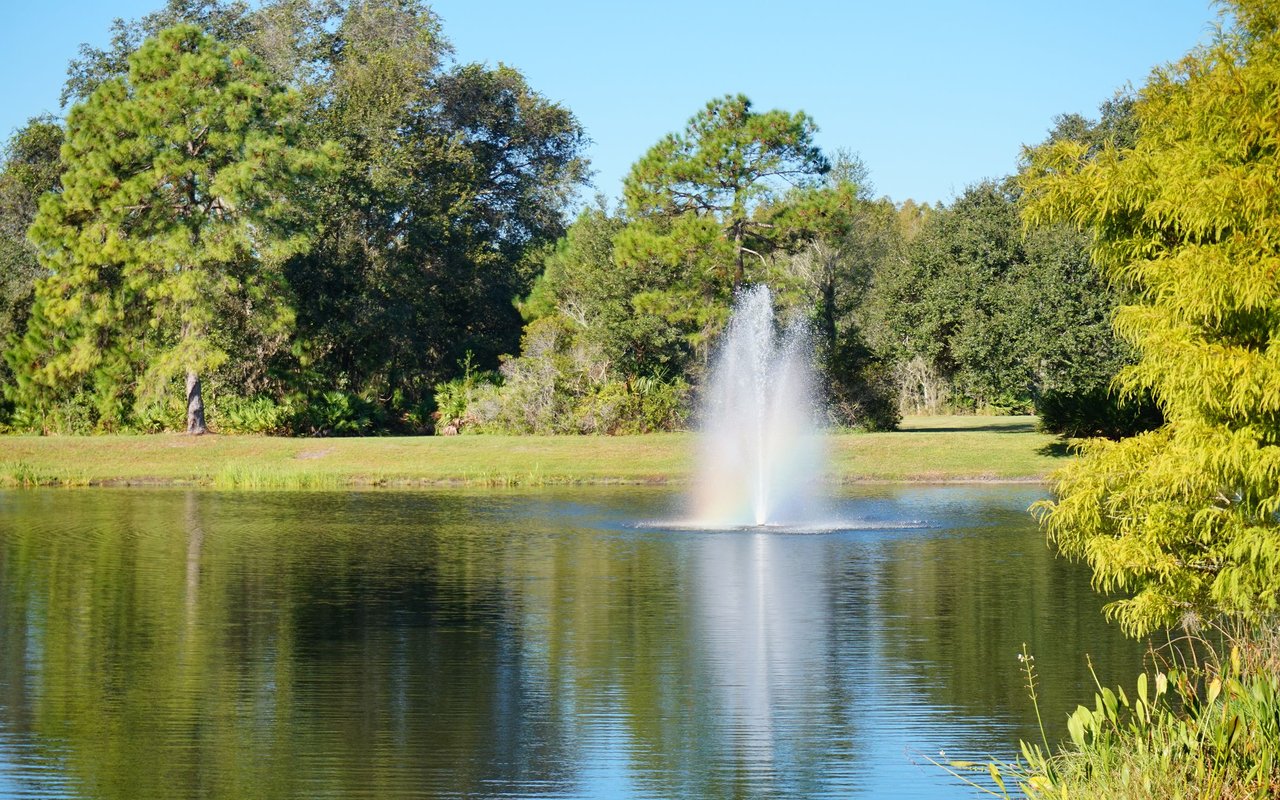 Spring Hill