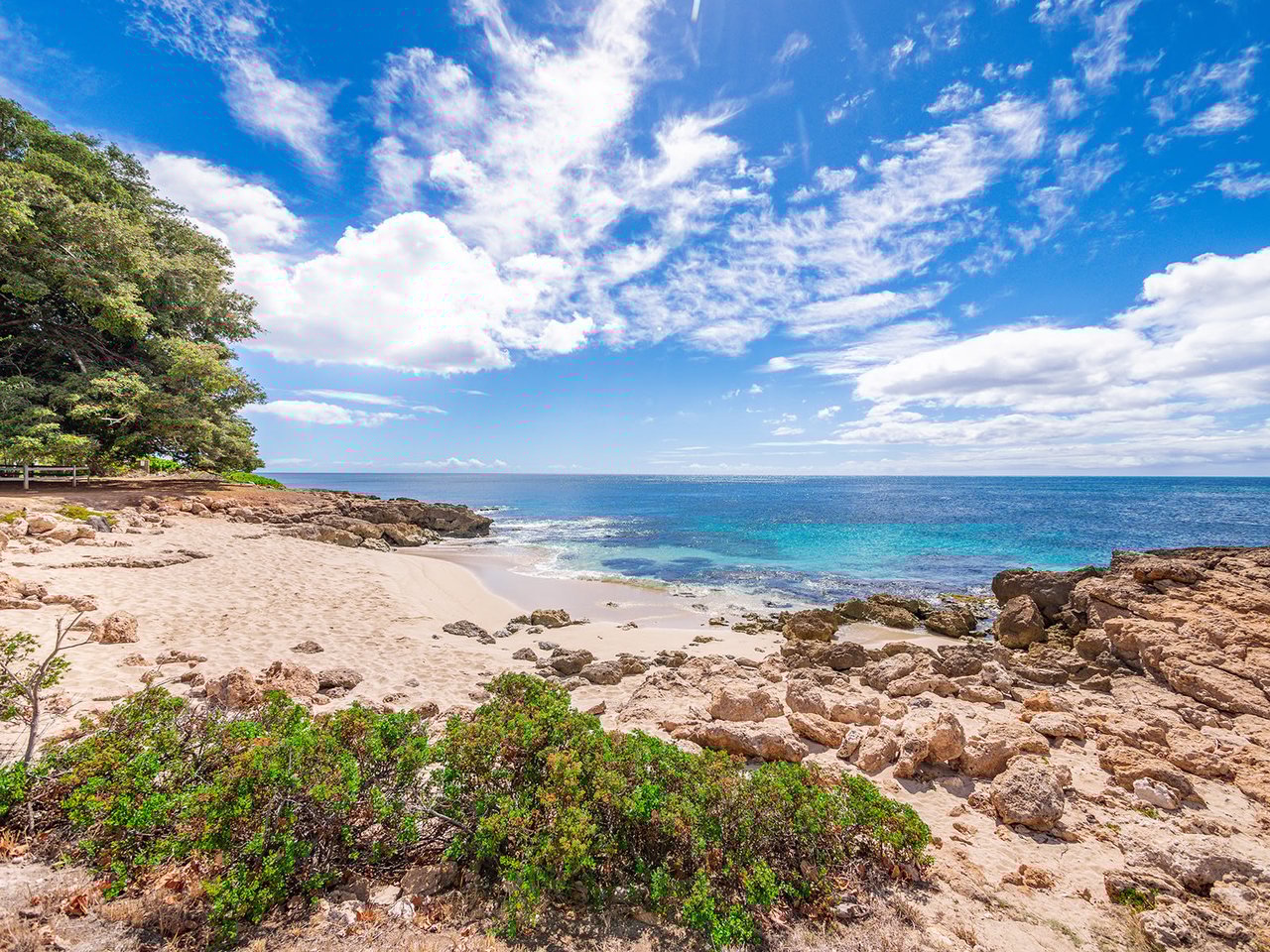 92-1001 Aliinui Dr #6D