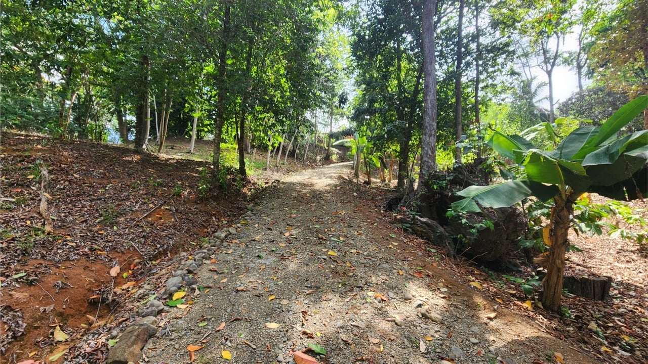 Oceanfront Resort Development Land, Uvita, Puntarenas