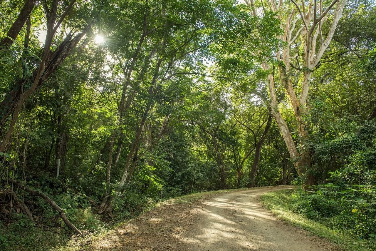 Ground Floor Golf Condo, Conchal, Guanacaste