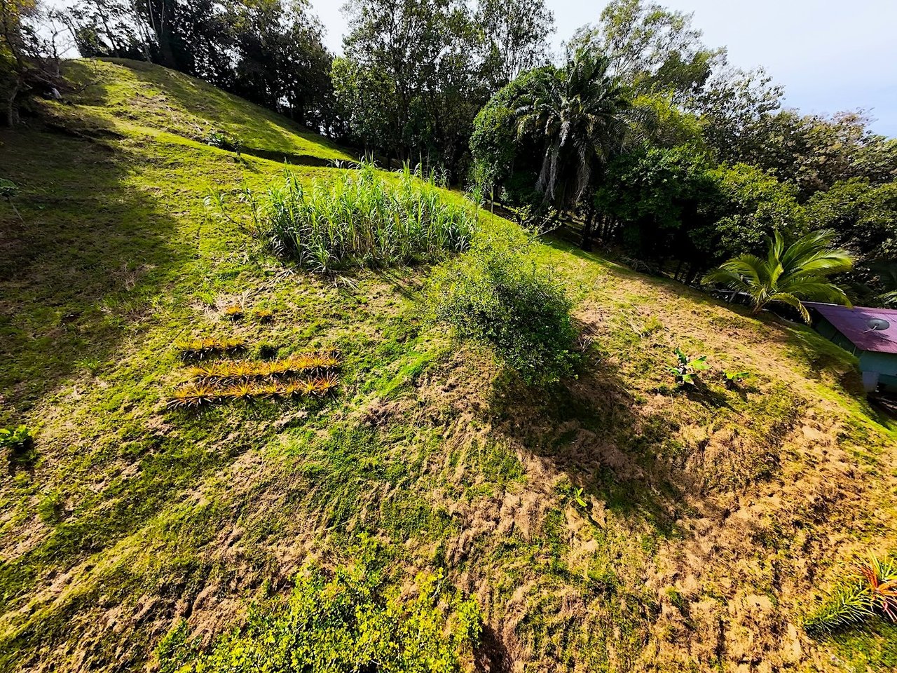 Luxury Development Land, Uvita, Puntarenas