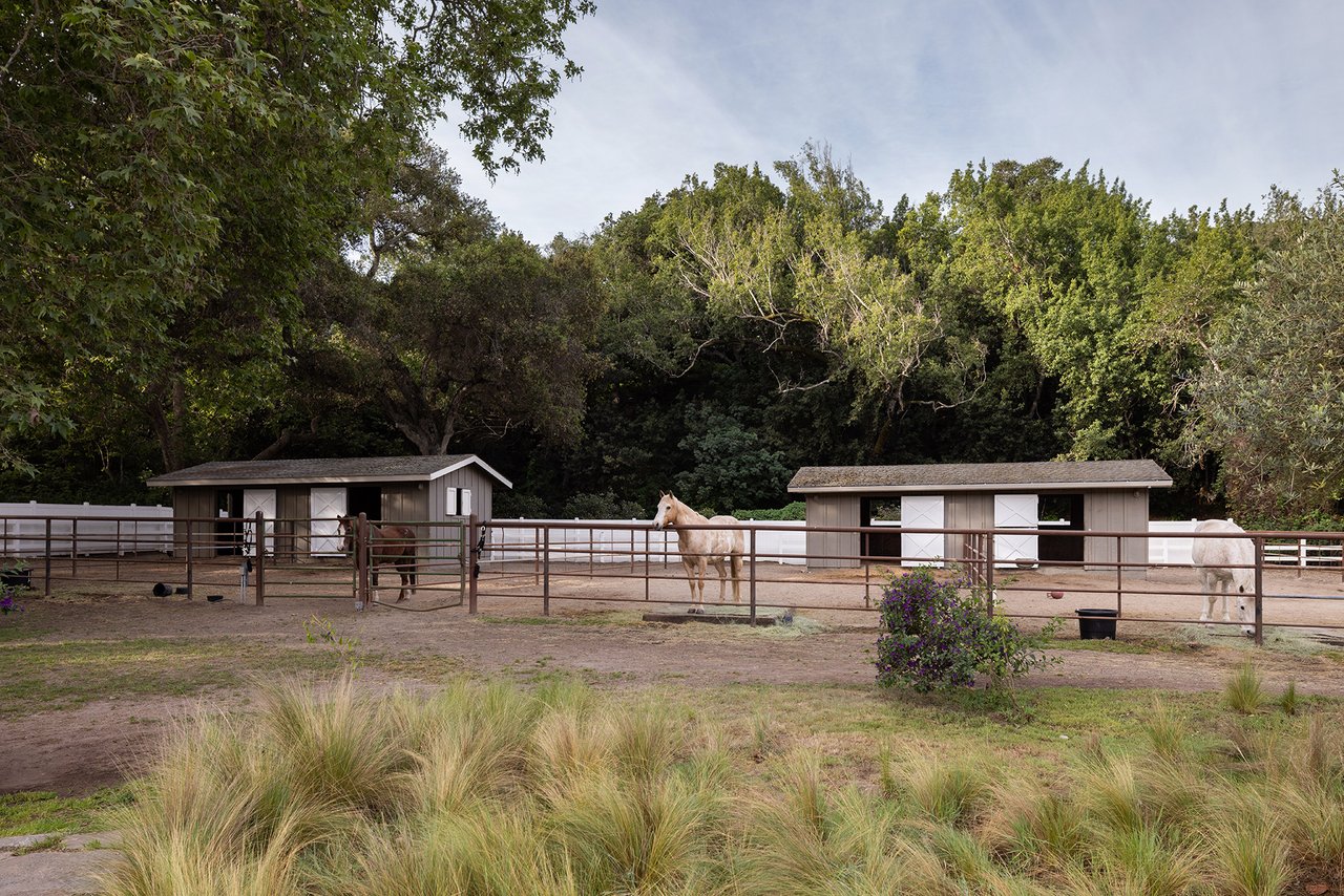 Carmel Valley Country Living