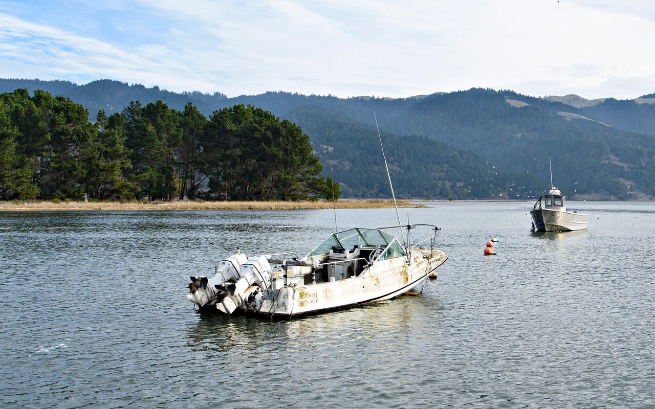Bolinas