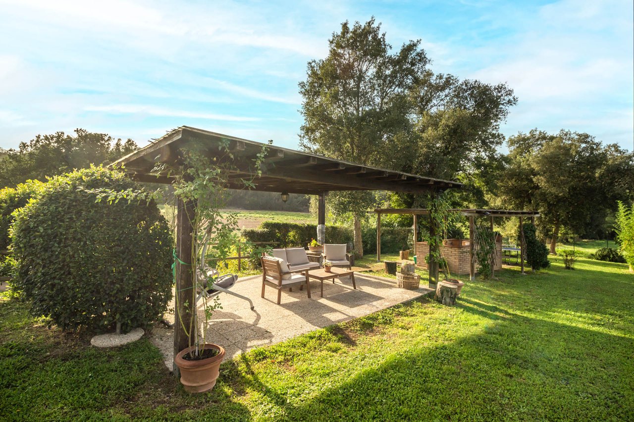 Organic Agriturismo in Roccastrada