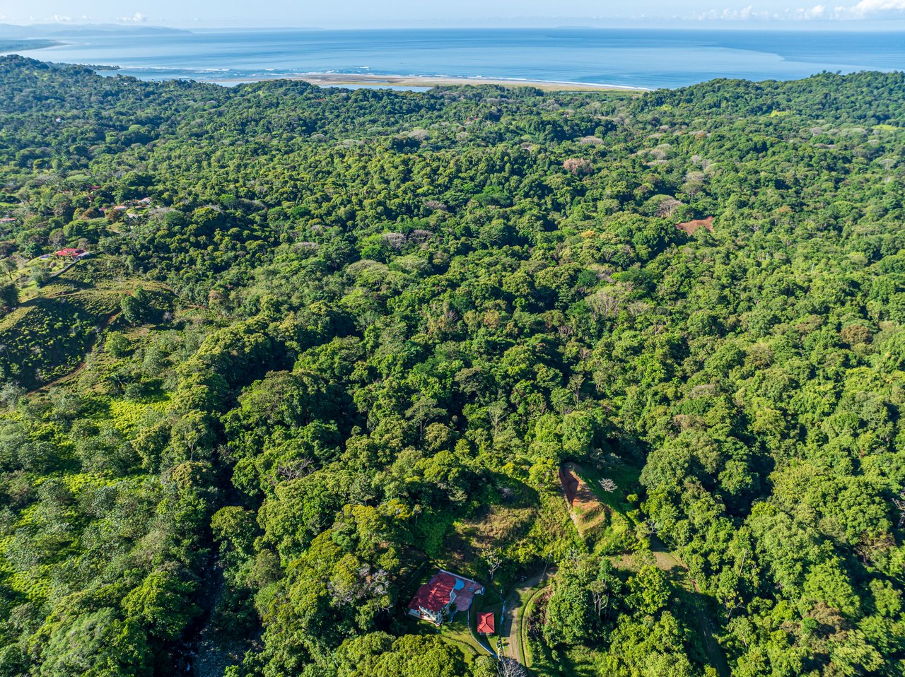 Elegant 3 Bedroom + Office Jungle Home in Puesta Del Sol, Ojochal