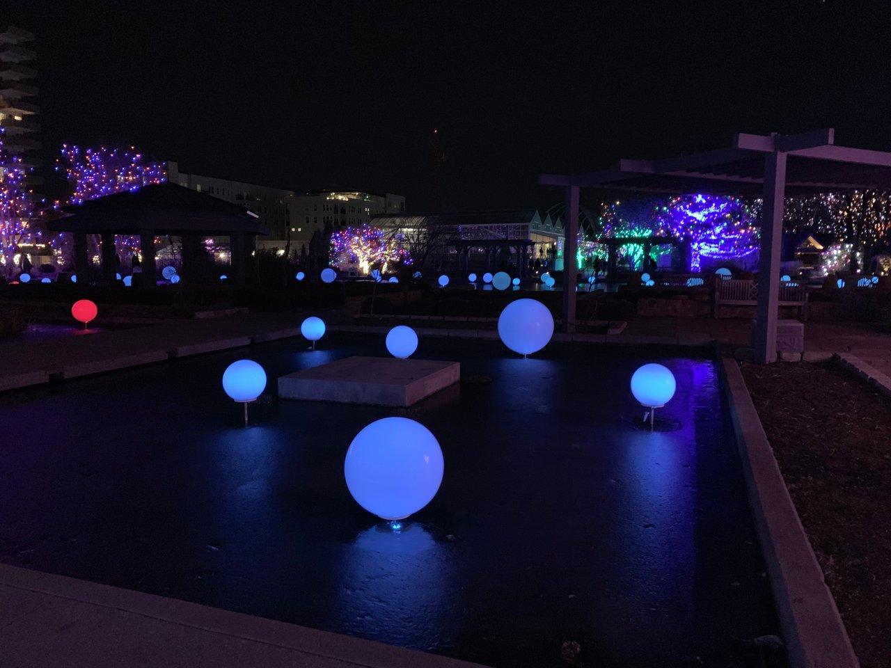 Top 10 Things to Do in Denver This December to Celebrate the Holidays 🎄✨  