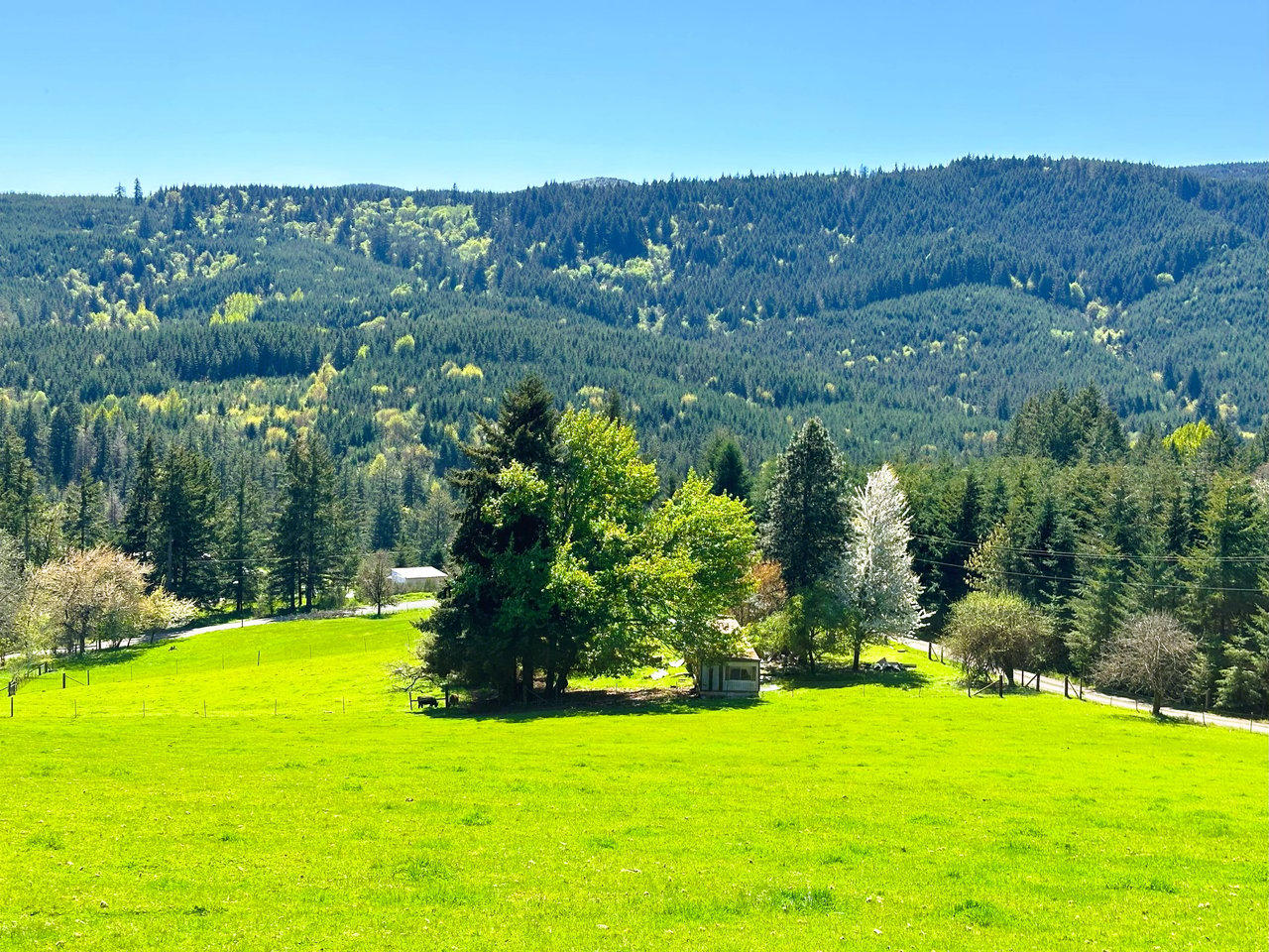 Panther Creek Homestead