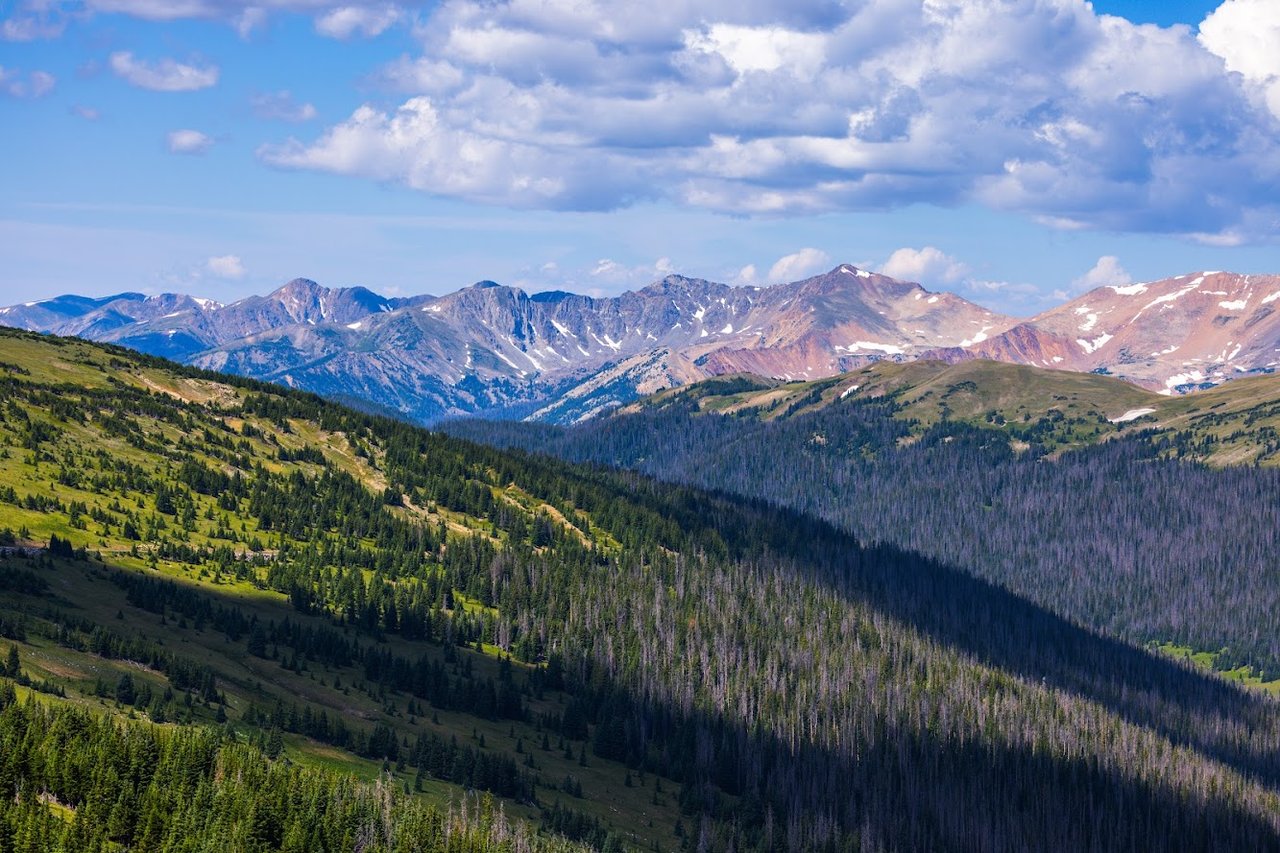 Where the Road Meets the Sky: Driving Trail Ridge Road