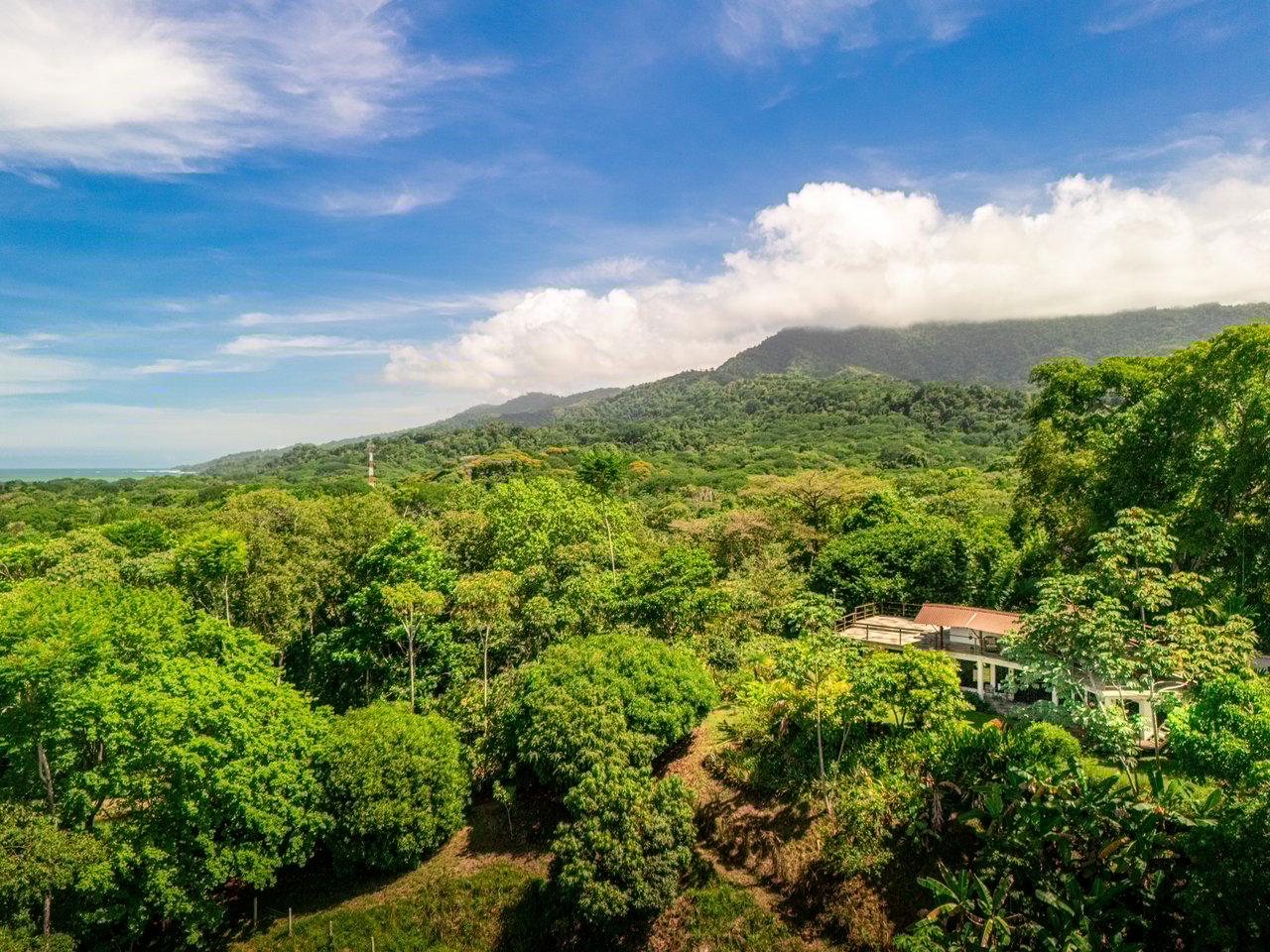 Casa Única - Ocean View Oasis with Commercial Potential in the Heart of Uvita