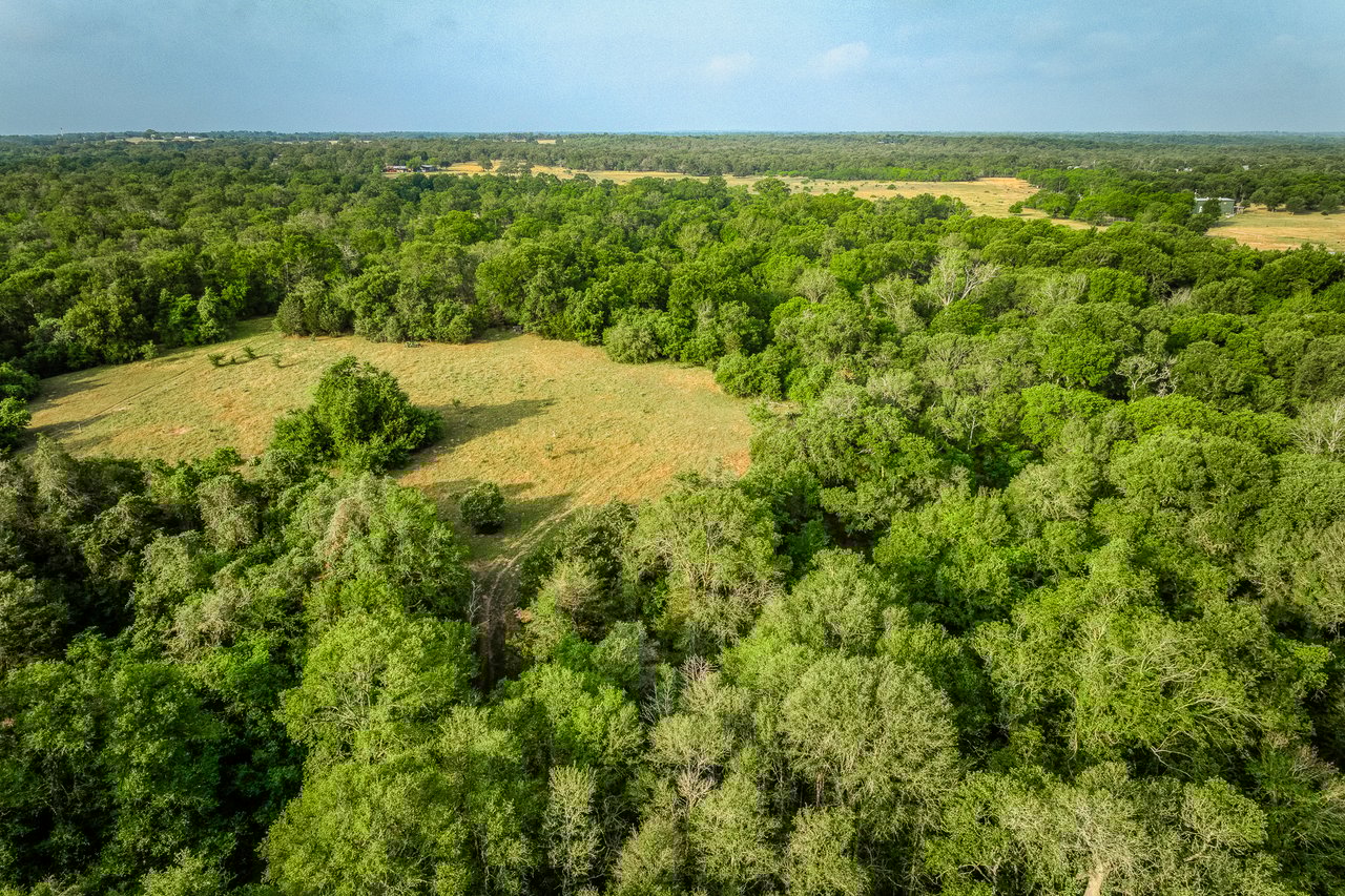 Revival Ranch TX