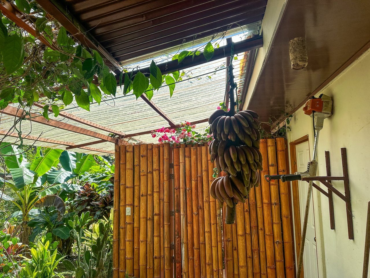 Tinamastes Costa Rica Property with Home, Yoga Deck & Land