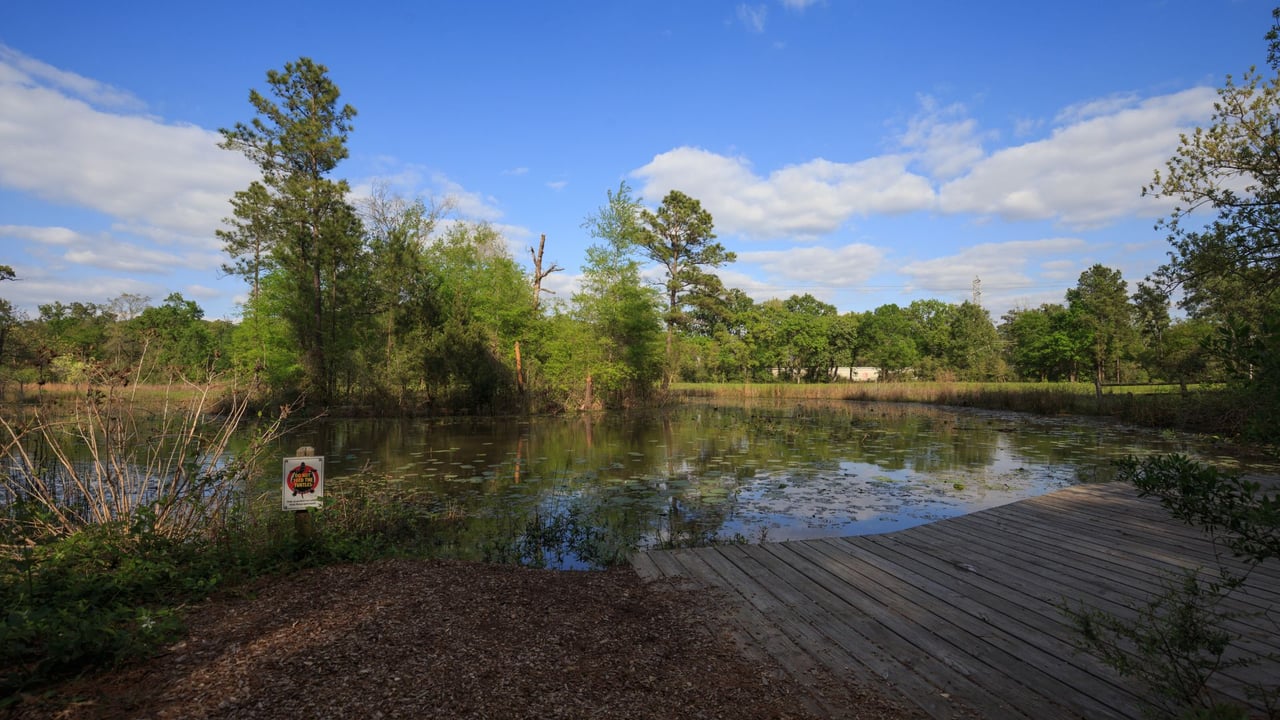 The Woodlands