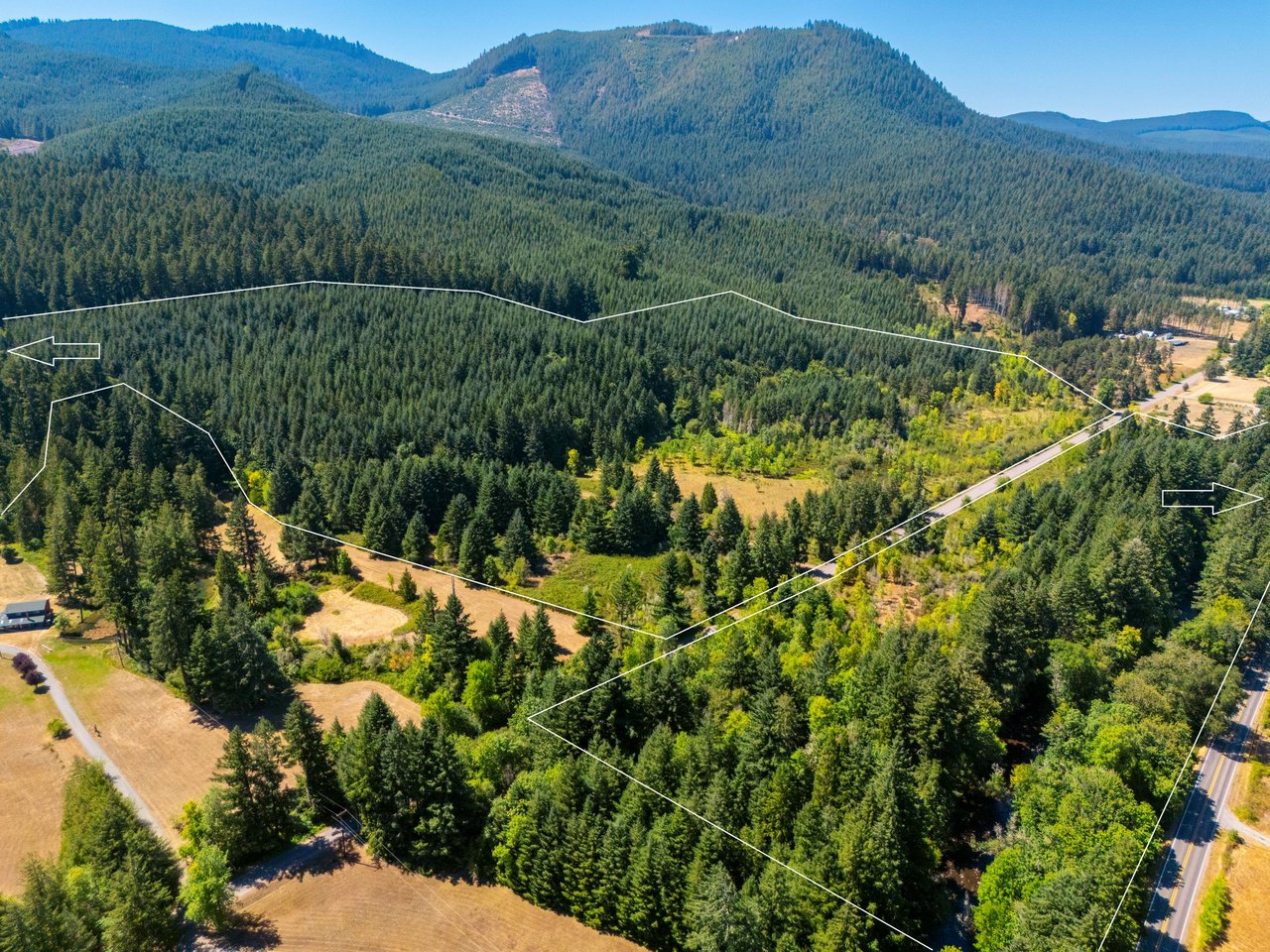Coast Fork Woodland Meadows
