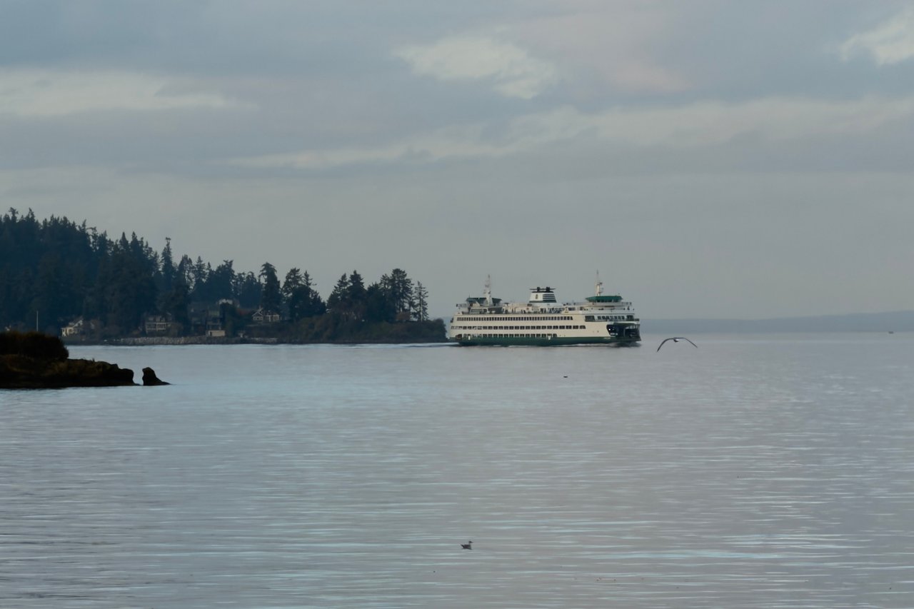 View of Bainbridge Island ferry from Port Blakely with forested shoreline and waterfront homes in the distance