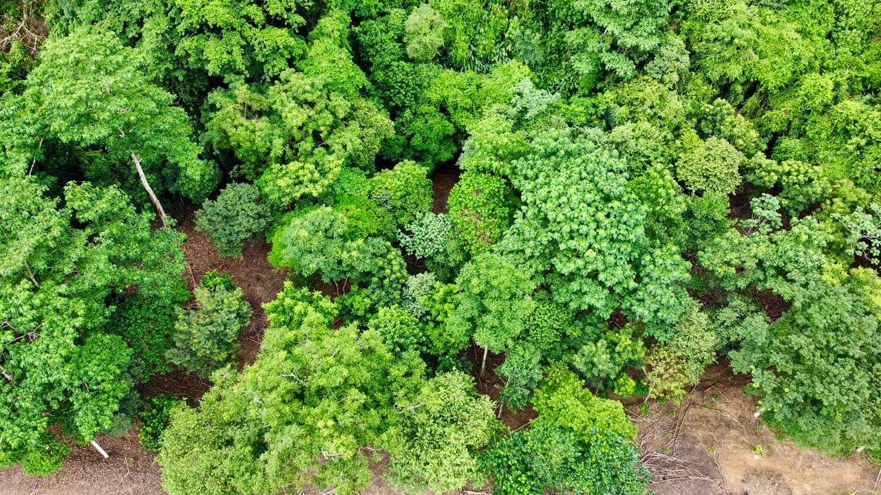 Tawal Lots for Sale – Prime Commercial & Residential Opportunity