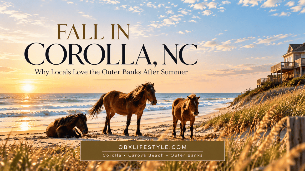 Fall in Corolla, NC: wild horses on the beach at sunset beneath a headline about the Outer Banks after summer.