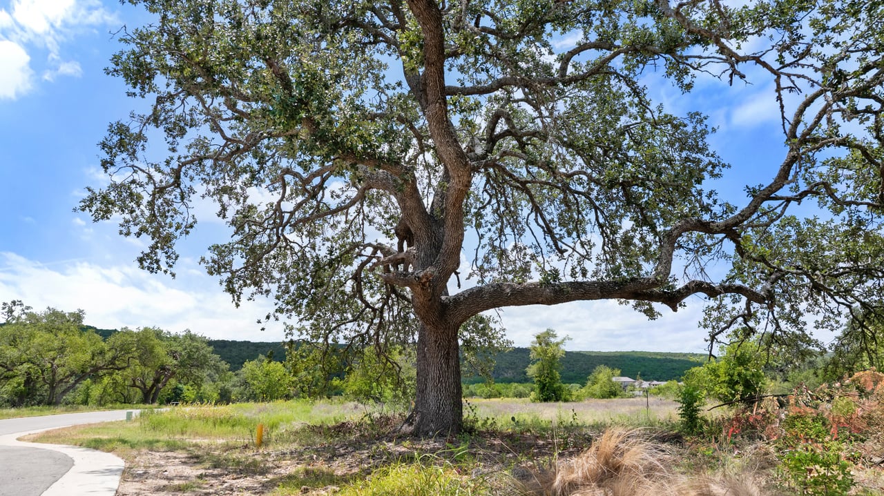 5300 Spring Preserve Trail LOT