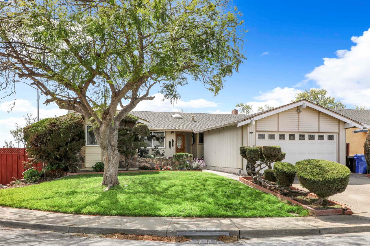 Single-story house with an attached garage, broad green lawn, mature tree, and trimmed shrubs.