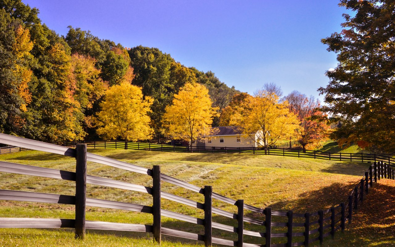 Meadows Of Dan