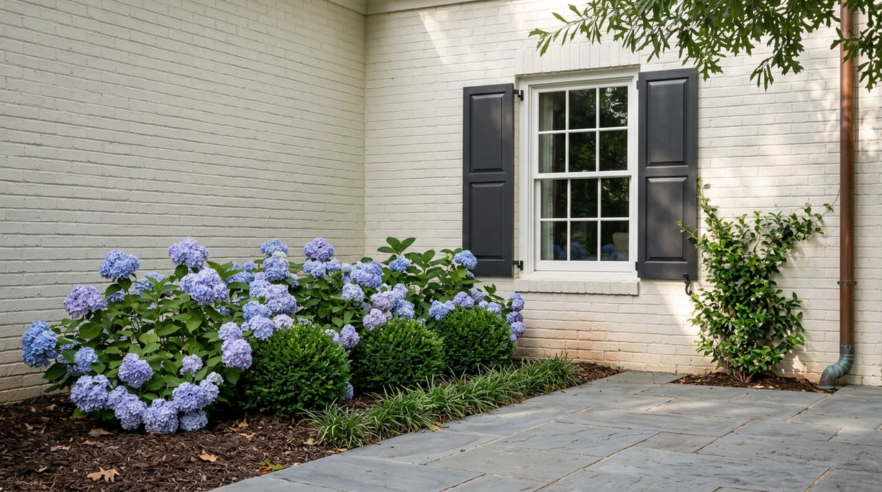 Summer on Augusta Road: What's Actually New on Your Street This Season