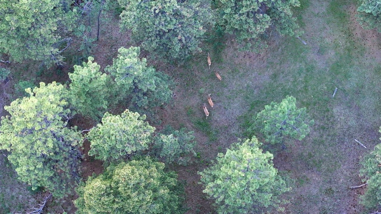 Big Spring Legacy Ranch