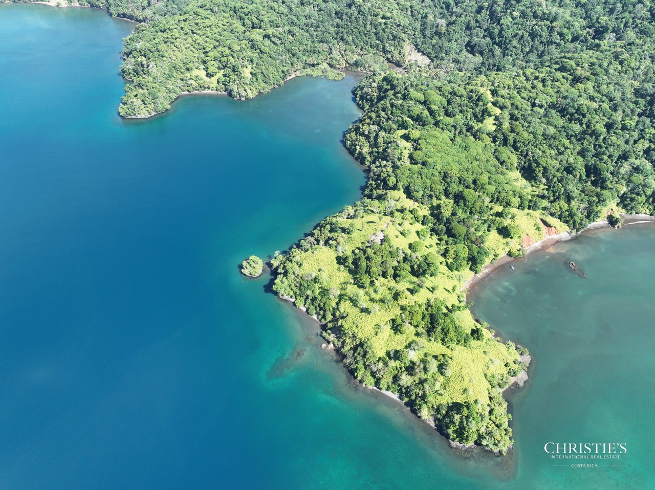 Jungle Islands — Los Mogos