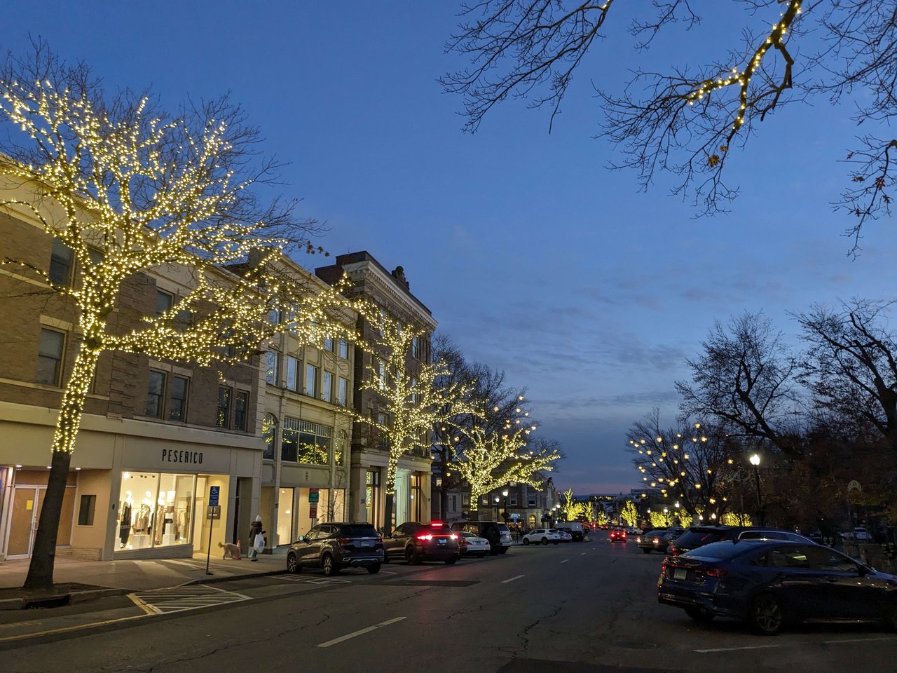 Holiday Lights on the Avenue