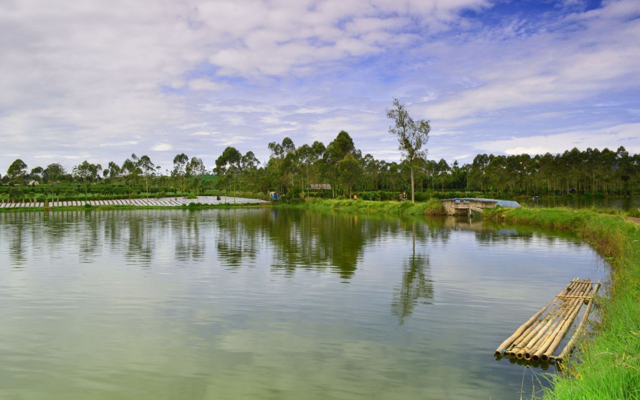 Goose Creek