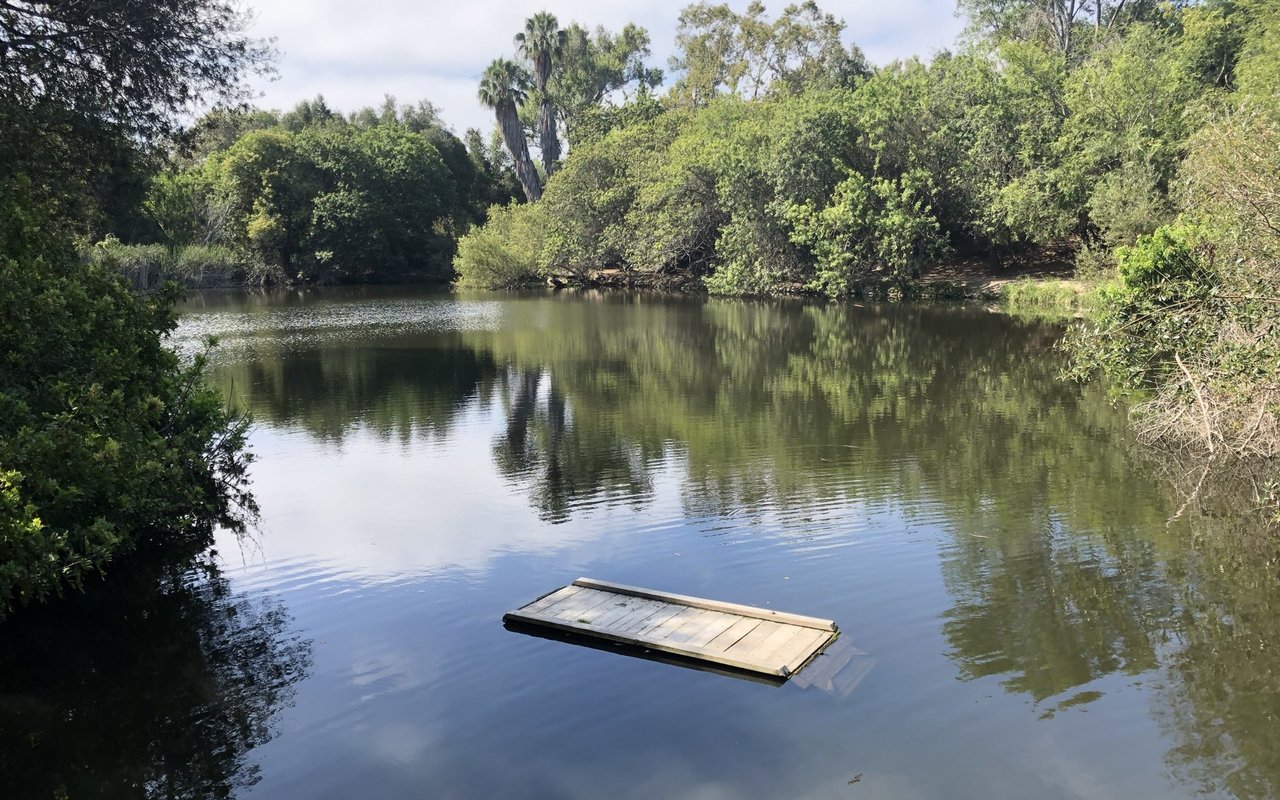 Lake and trees at El Dorado Nature Center in Long Beach
