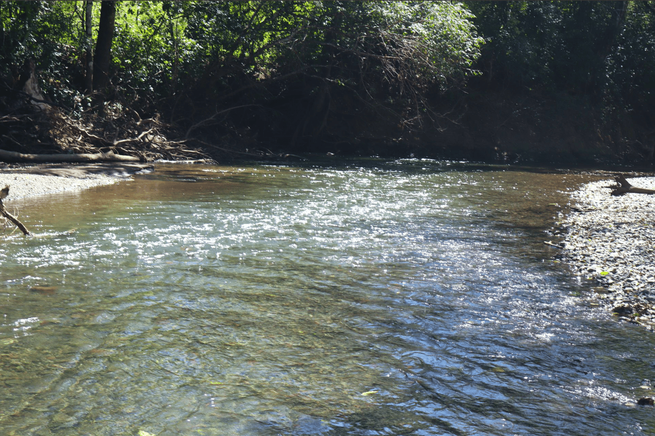 Eco Sanctuary In Playa Marbella - 250 Acre Riverfront