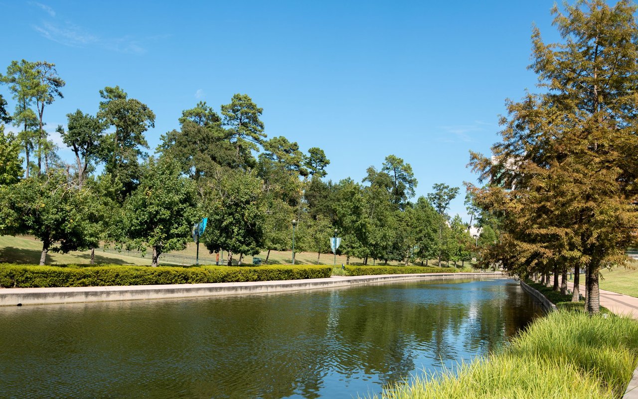 The Woodlands