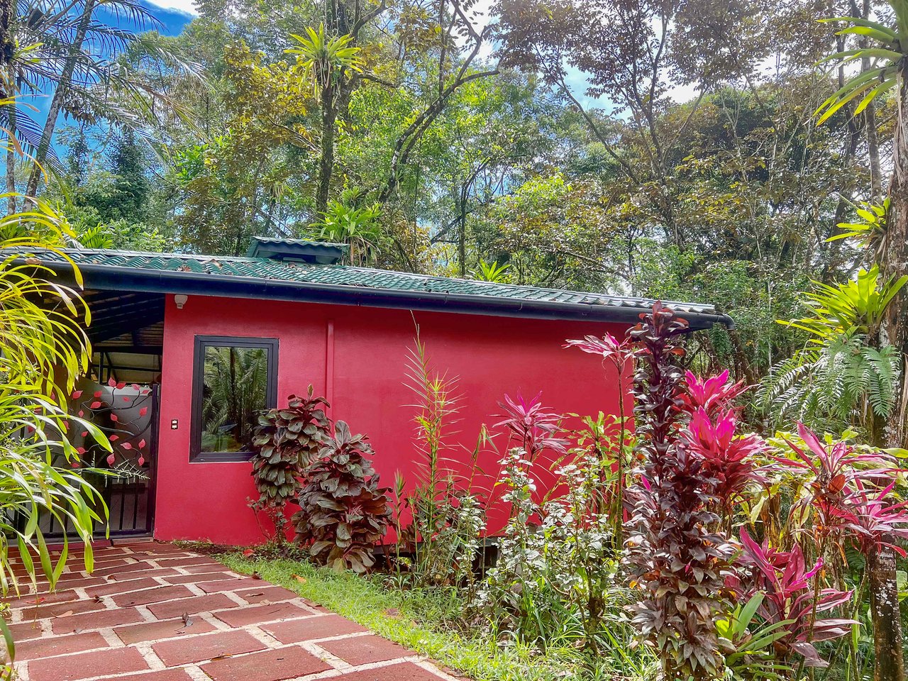 3 Cabins, A restaurant, A 3 Bed House And Multiple Plantels In The Heart Of Ojochal