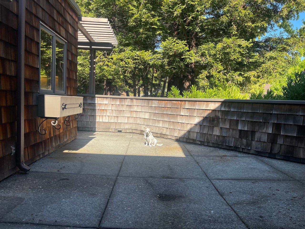 Orinda Woods Opportunity