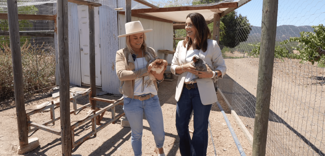 9± Acres of Luxury Wine Country Living