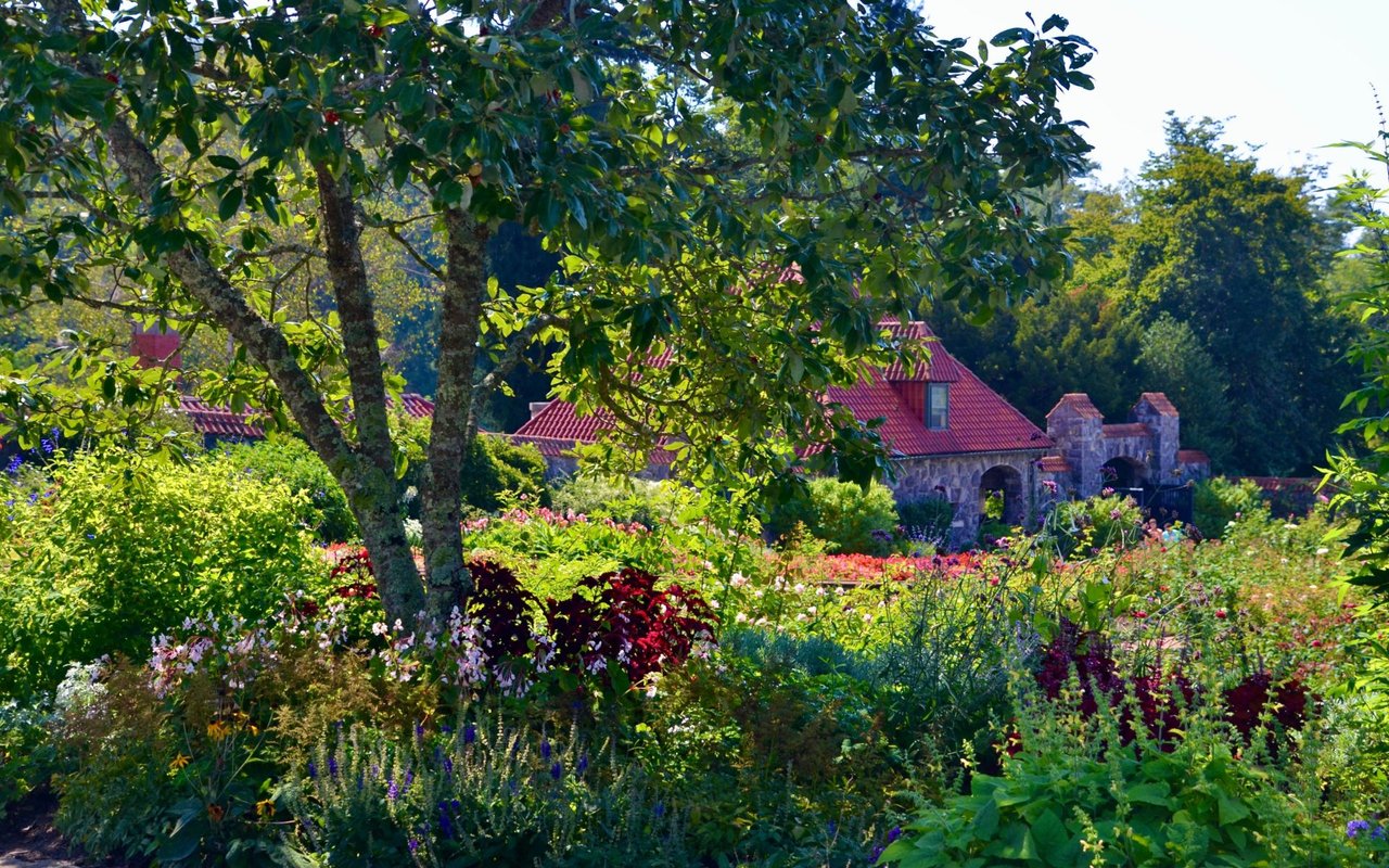 Ramble Biltmore Forest