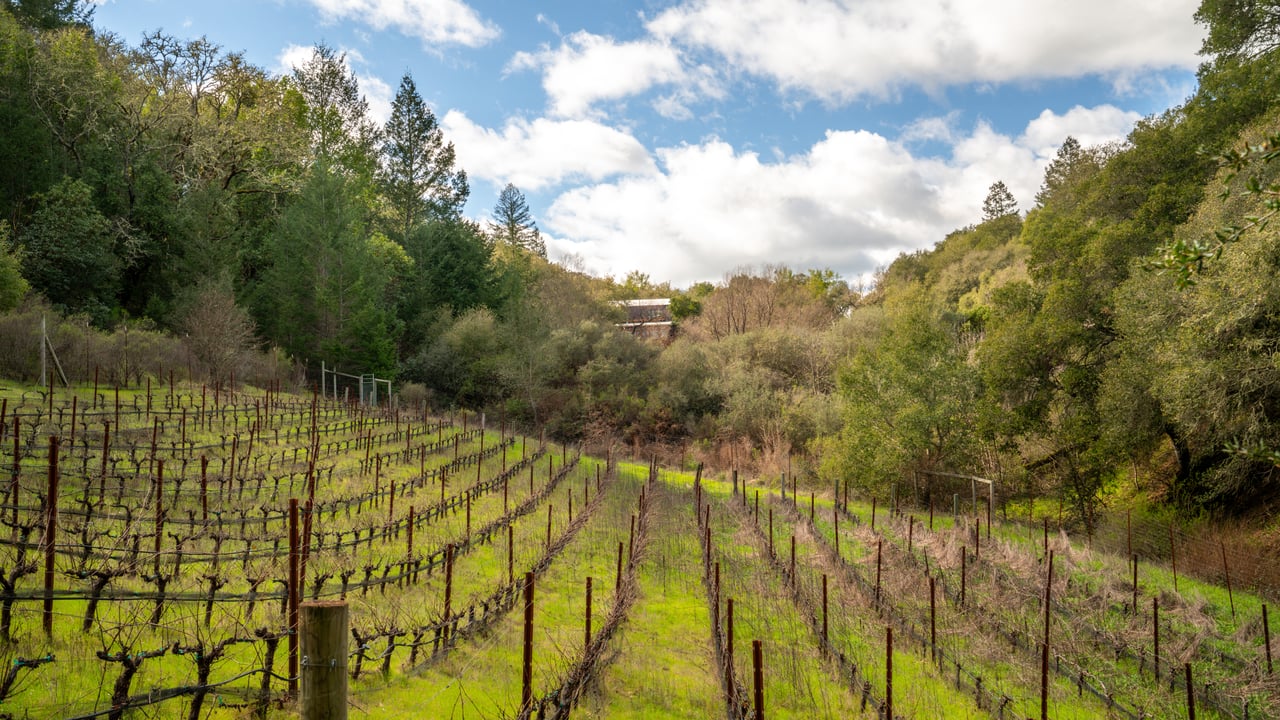 Leslie Creek Retreat