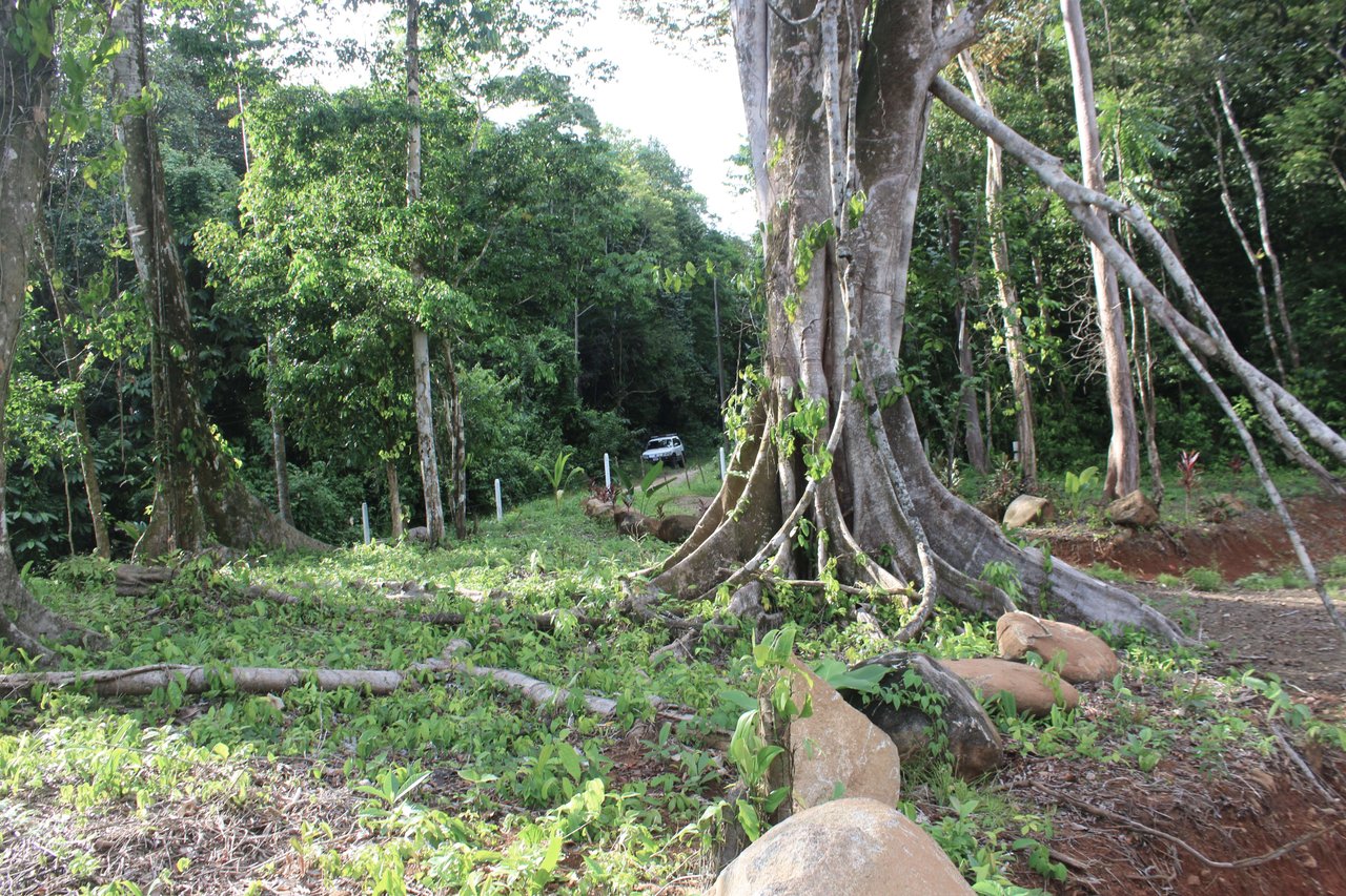 River Frontage Lot close to Uvita