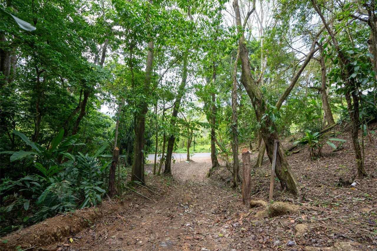 Private Ocean View Development Lot, Dominical, Puntarenas