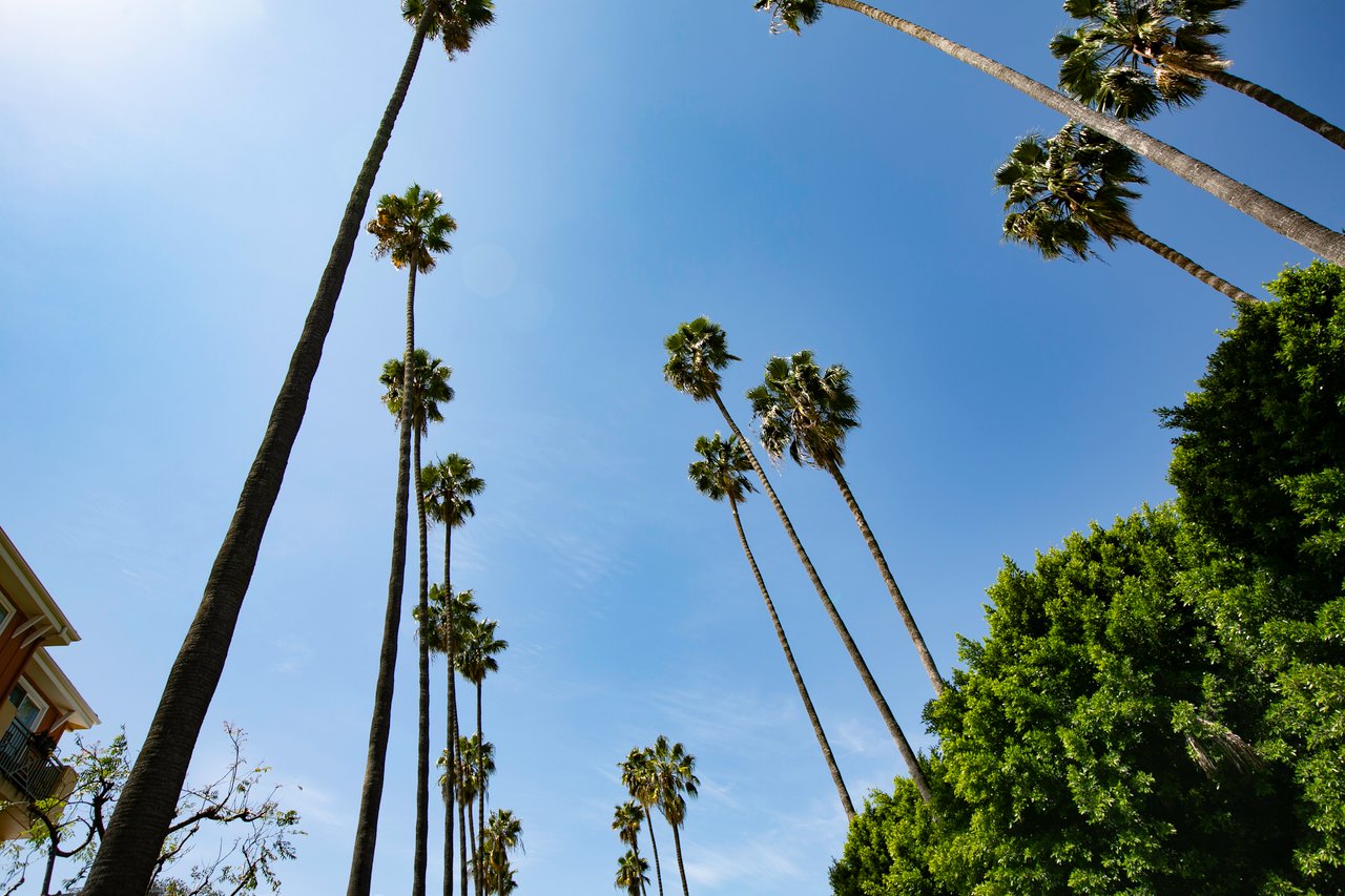 Stylish Condo in the Heart of Hollywood