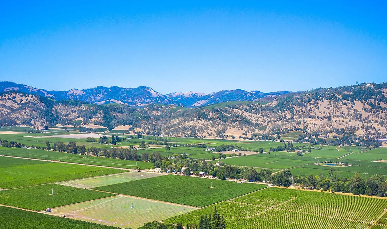 Explore Luxurious Vineyard Estates of Napa Valley