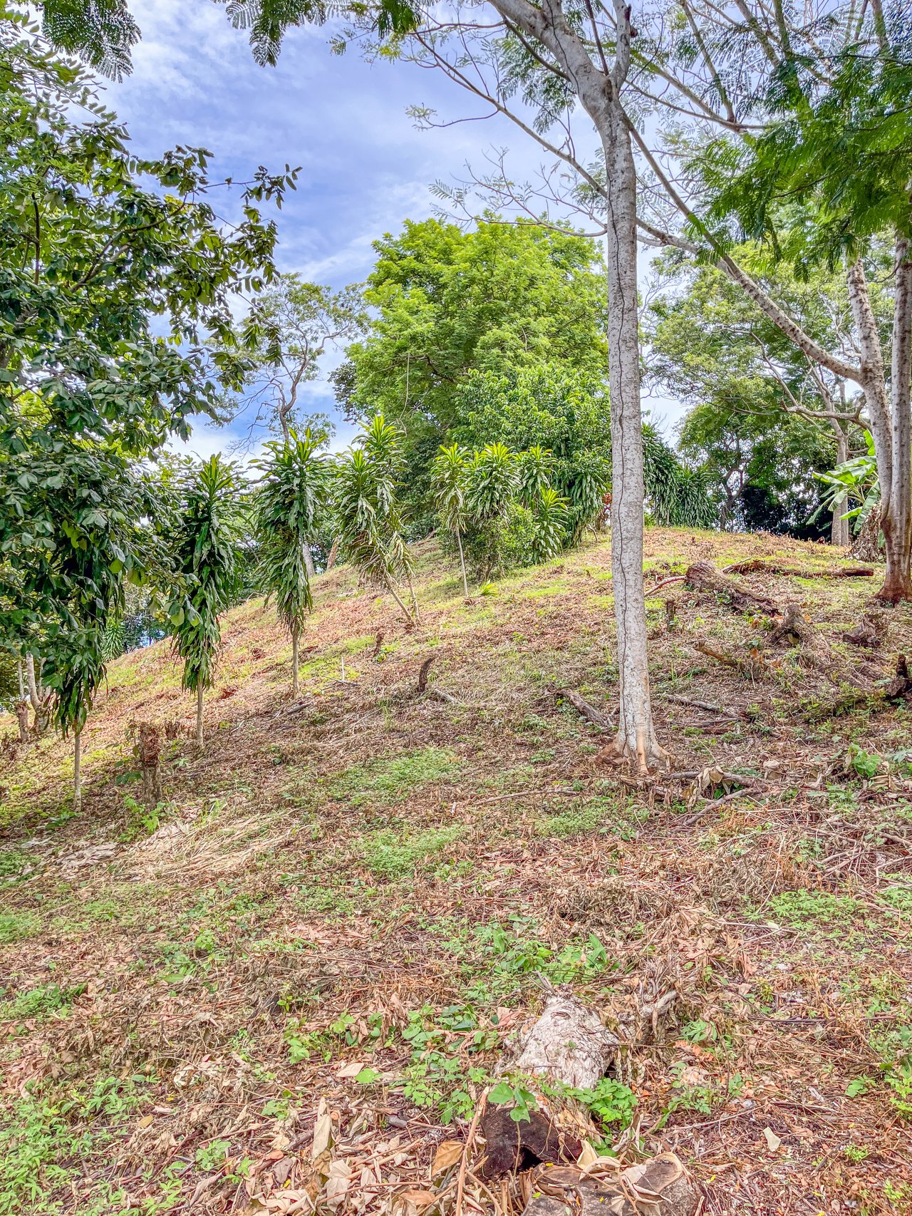 La Reserva Camaronal Lot 34