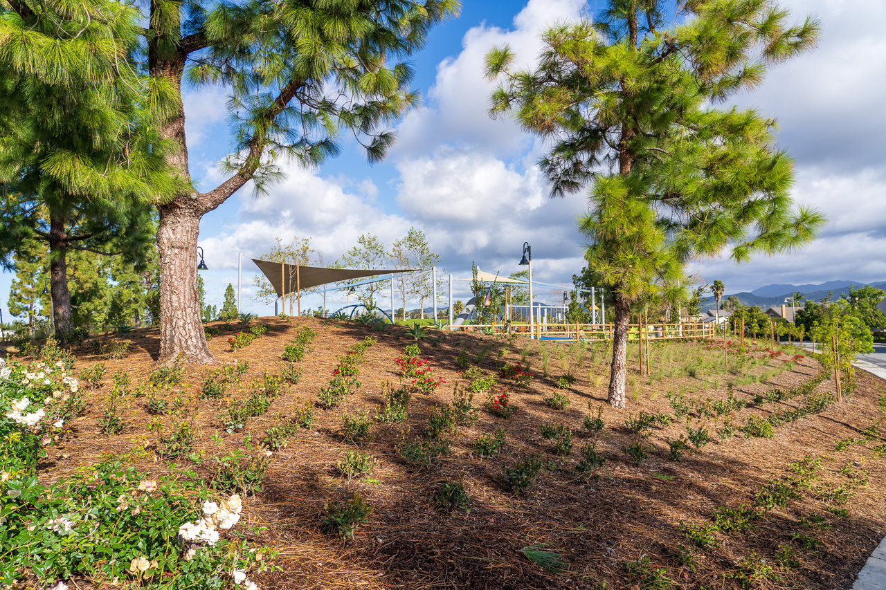 21865 Jinetes, Mission Viejo, CA 92691