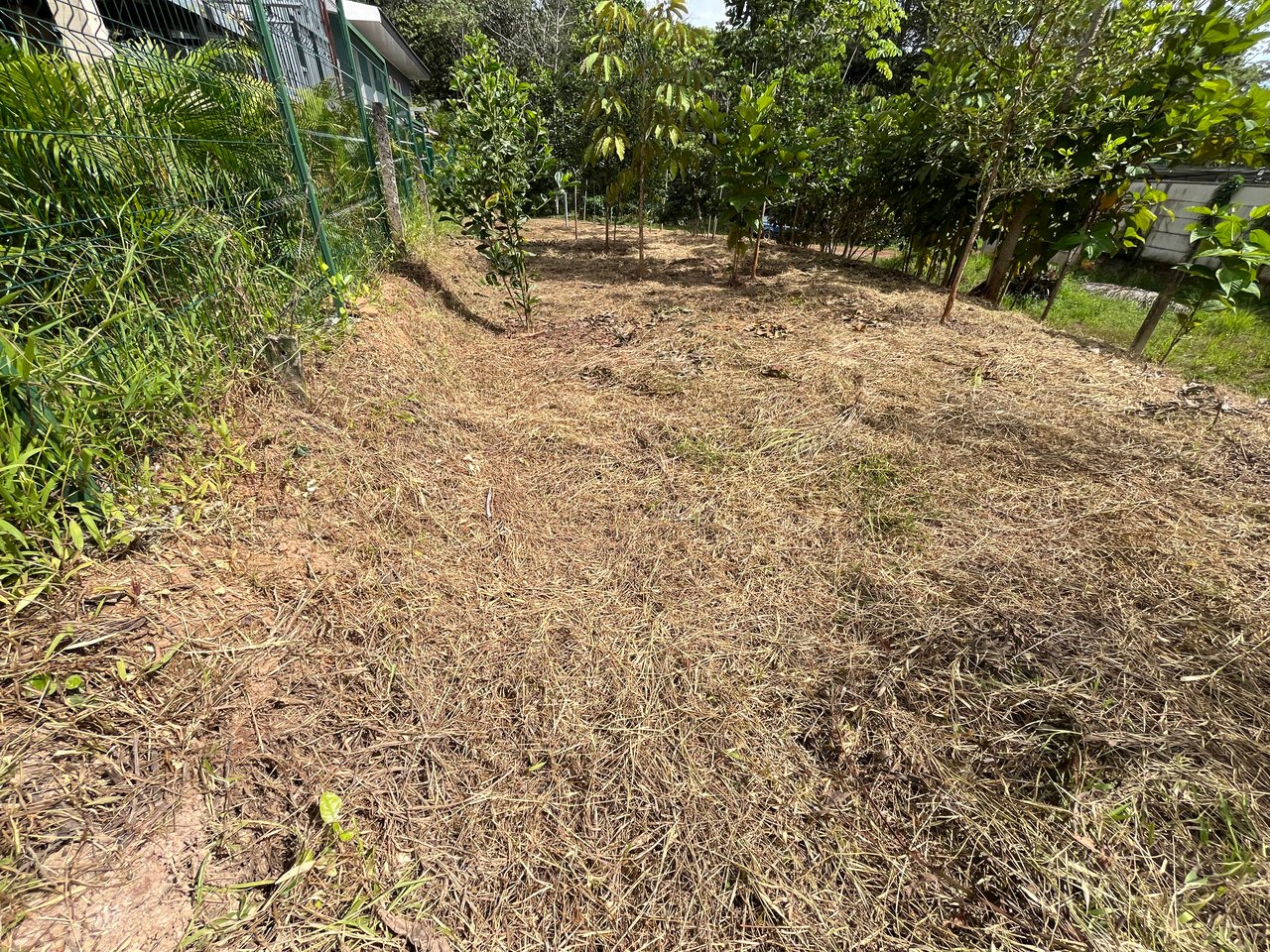 Affordable Uvita Lot UNDER $200-per-sqm - Perfect for Your Dream Home or Airbnb Investment