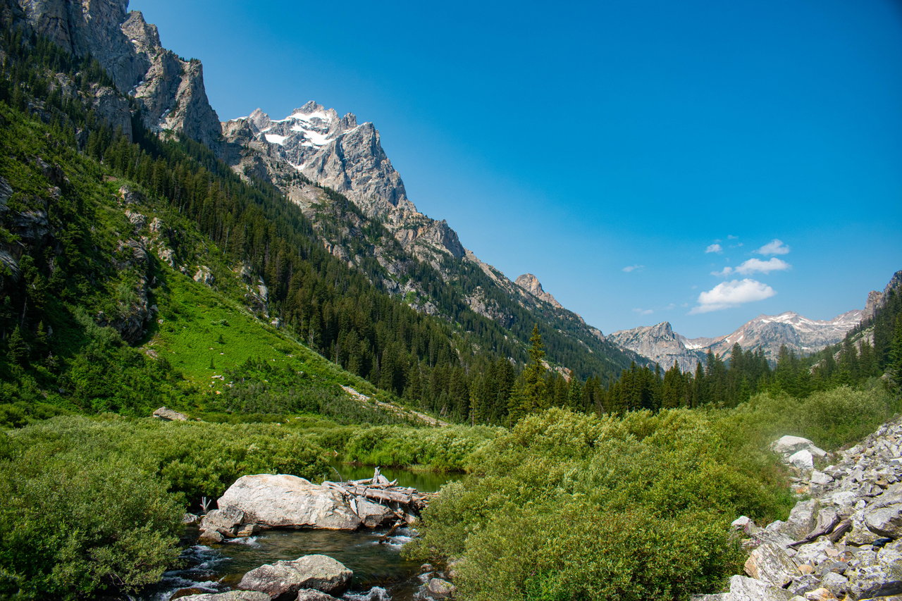 Lush green valley with a flowing creek and towering Teton Mountains in Jackson Hole, WY, showcasing the natural beauty of Teton Pines real estate.