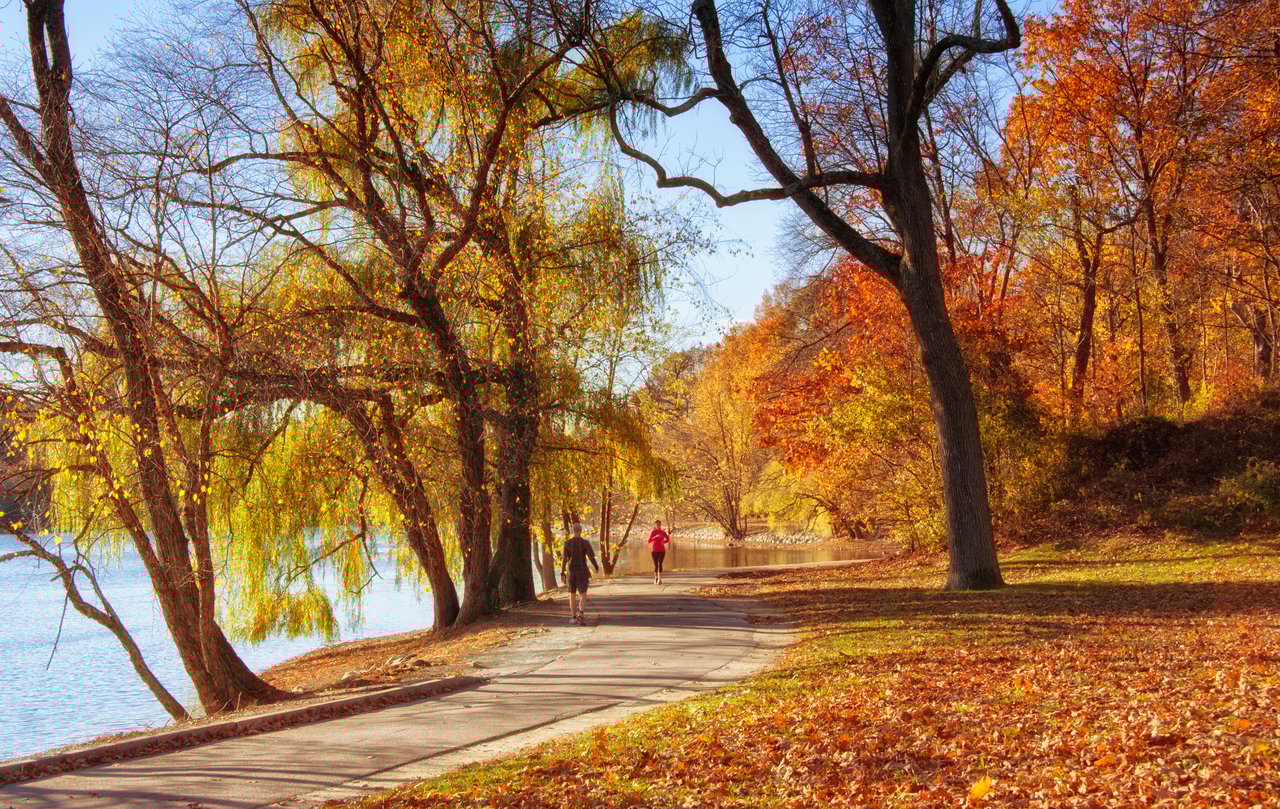 🍂 Fall in Rhode Island: The 5 Best Places to See Stunning Foliage