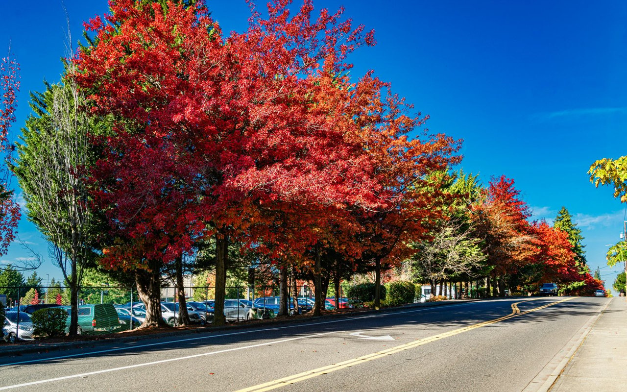 Gregory Heights