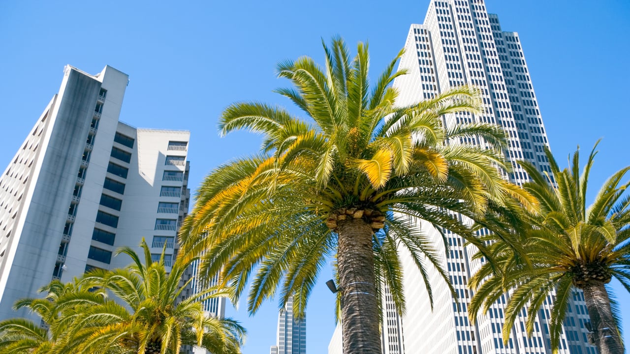 Discover San Marcos: Your Next Home in Southern California