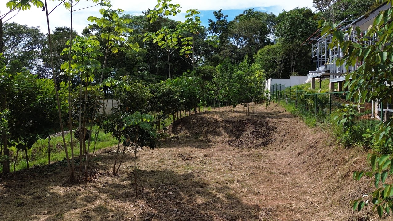 Affordable Uvita Lot UNDER $200-per-sqm - Perfect for Your Dream Home or Airbnb Investment