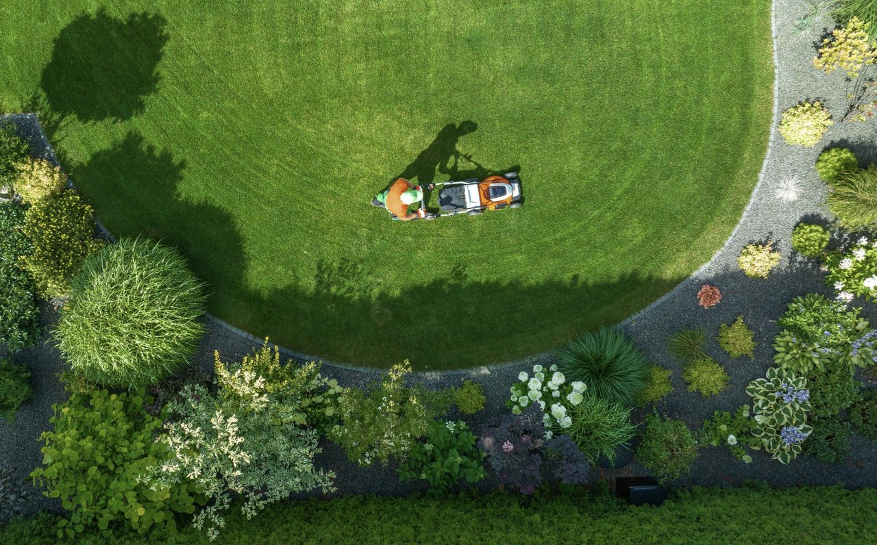 Lawn love: How to grow (and keep) a beautiful yard